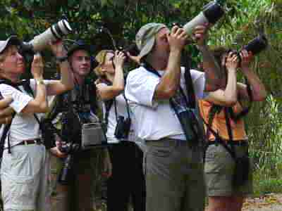 Birders and photographers at work...Birdwatchers looking for the Snail Kite at the Caribbean Site north entrance of the Panama Canal Gatun Lake Colon by boat tour, Central birdwatching tours, bird checklists, birdlist, tropical rainforest birds and nature photography tour, expert guides and guiding, bierding hot spots, bird watching birds, birdwatcher going birding, finding birds in panama, bird diversity, zone birding.