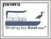 Birding by Boat Tour